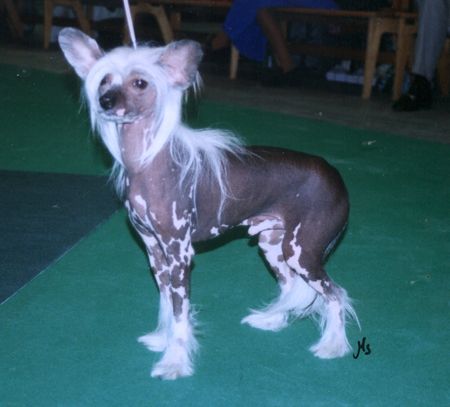 Passer-by A-prince-of-joy