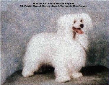 Pekiki Master Pay Off