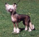 Prefix Goddess Gracious