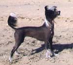 Prefix Scandal Beauty