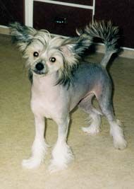 Prefix Yum Yum For Germoths