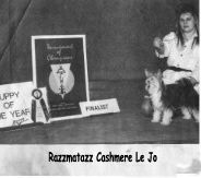 Razzmatazz Cashmere Lejo