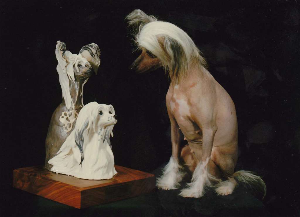 Razzmatazz manian Stripper