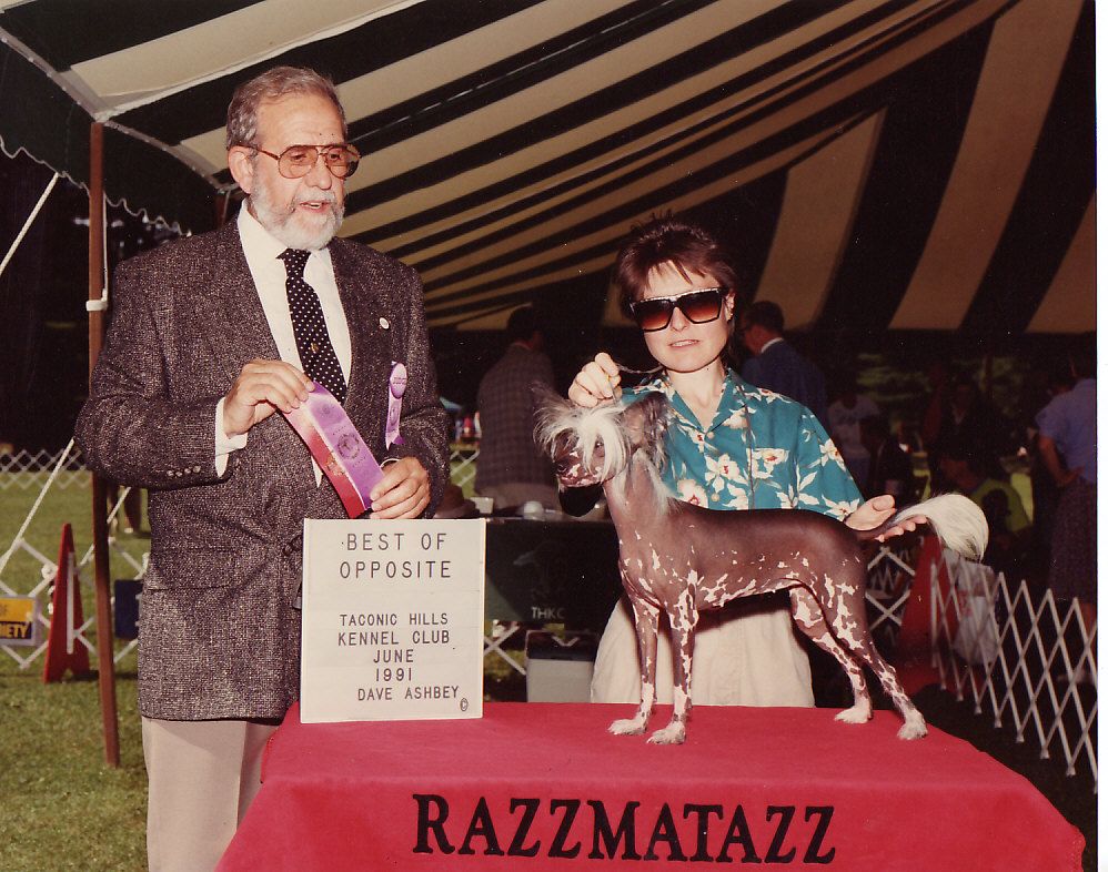 Razzmatazz Wild Wings