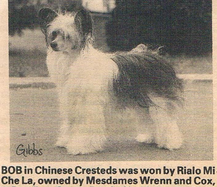Rialo Mi Che La