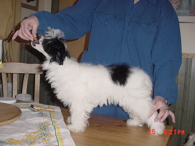 Sandfield's Eurydike