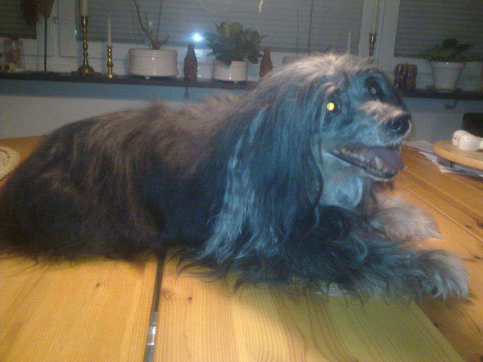 Scary Monster's Kapten Blåtand