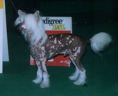 Secret Line's Simply The Best