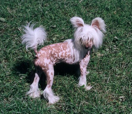 Secret Line's X-mas Gift