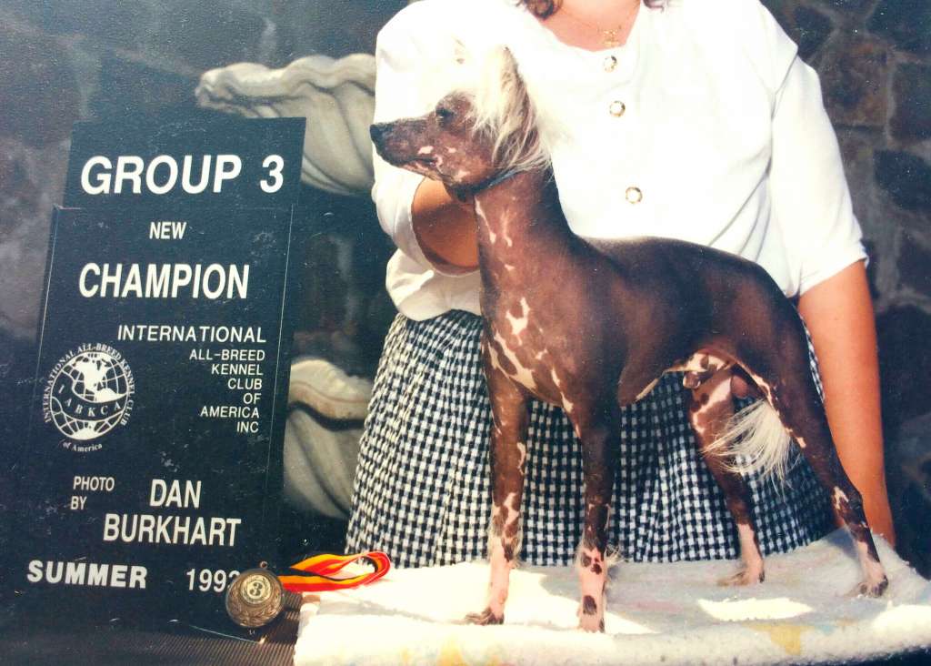 Serendipitys Bold As Brass