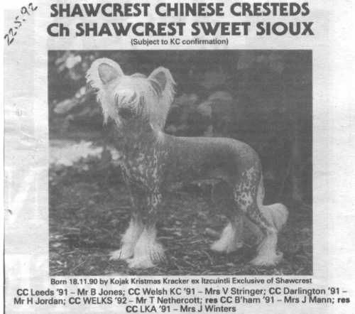Shawcrest Sweet Sioux