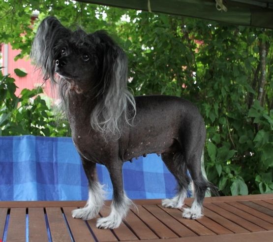 Sheila From House Off Angie