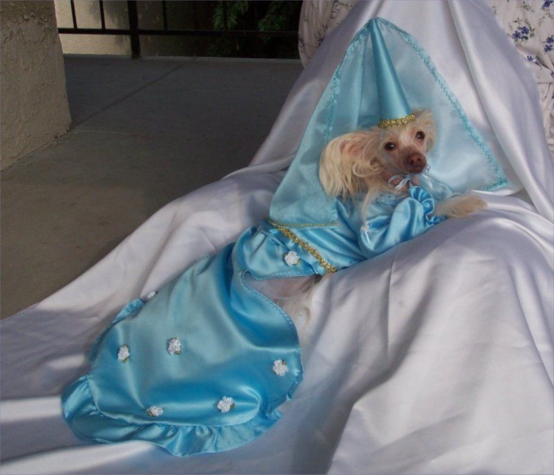 Shida A Shimmer Of Gold