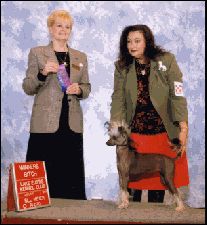 Silver Bluff Eternal Flame