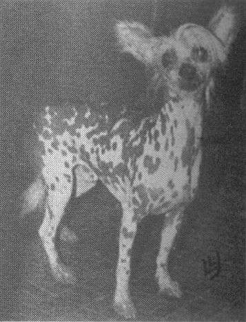 So'bestaa Of Crest Haven