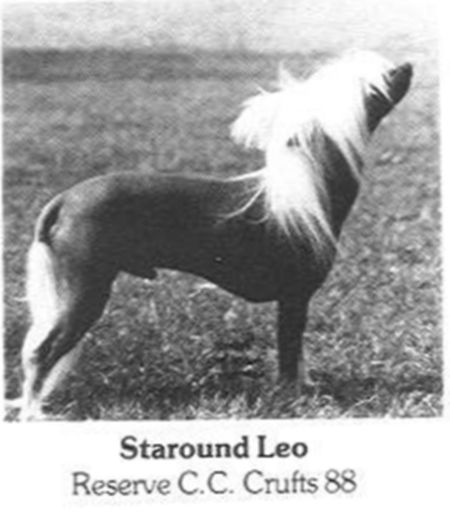 Staround Leo