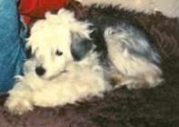 Sun-A-Ra's Gin-Su Of Bayshore