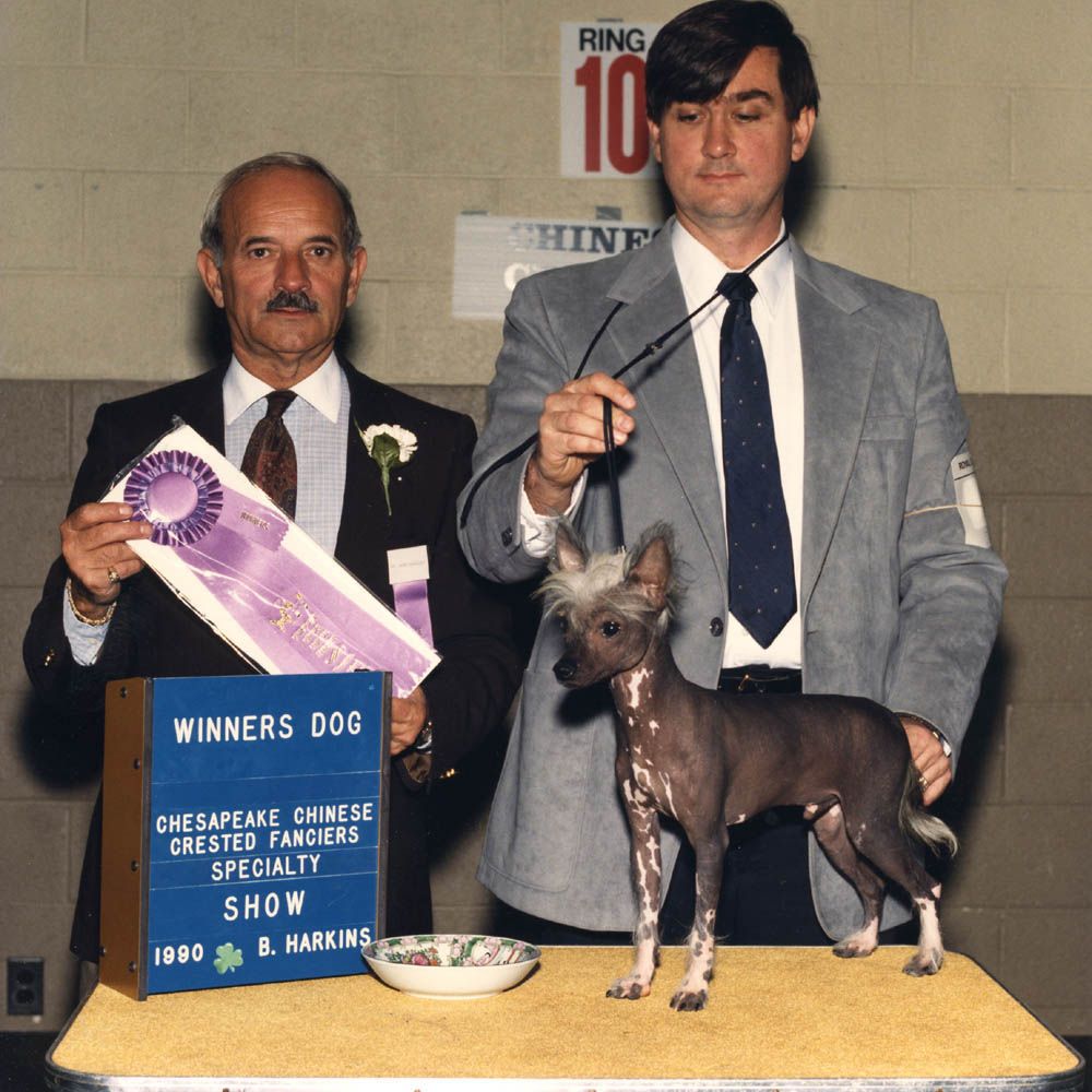 Sun-a-ra's Silver Lining SOD