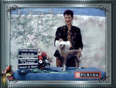 Sunberry's Oops A Daisy