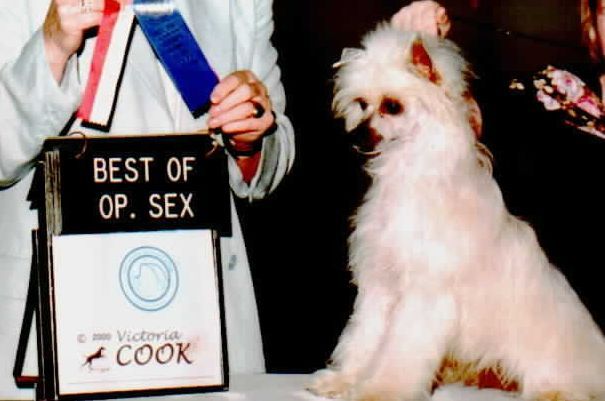 Sundown's Queen Of Hearts