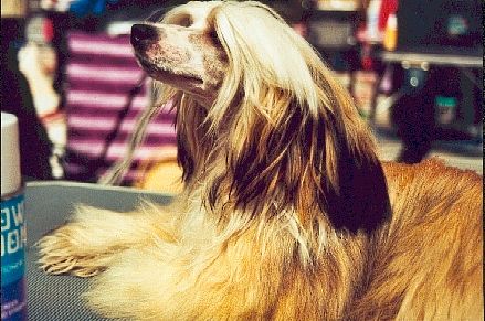 Sun-Hee's Color Of My Love