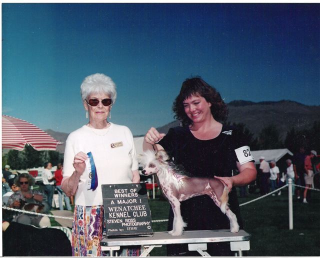 Sunwinds Larkspur At Toybox