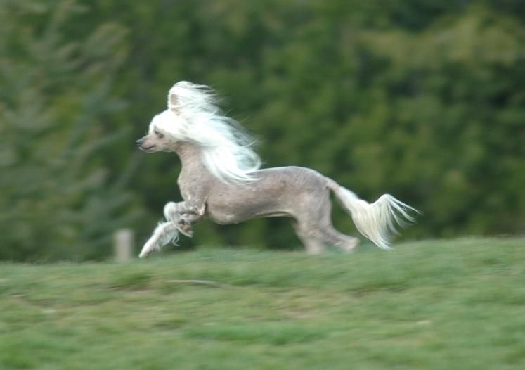 Swifthaven I'm All That