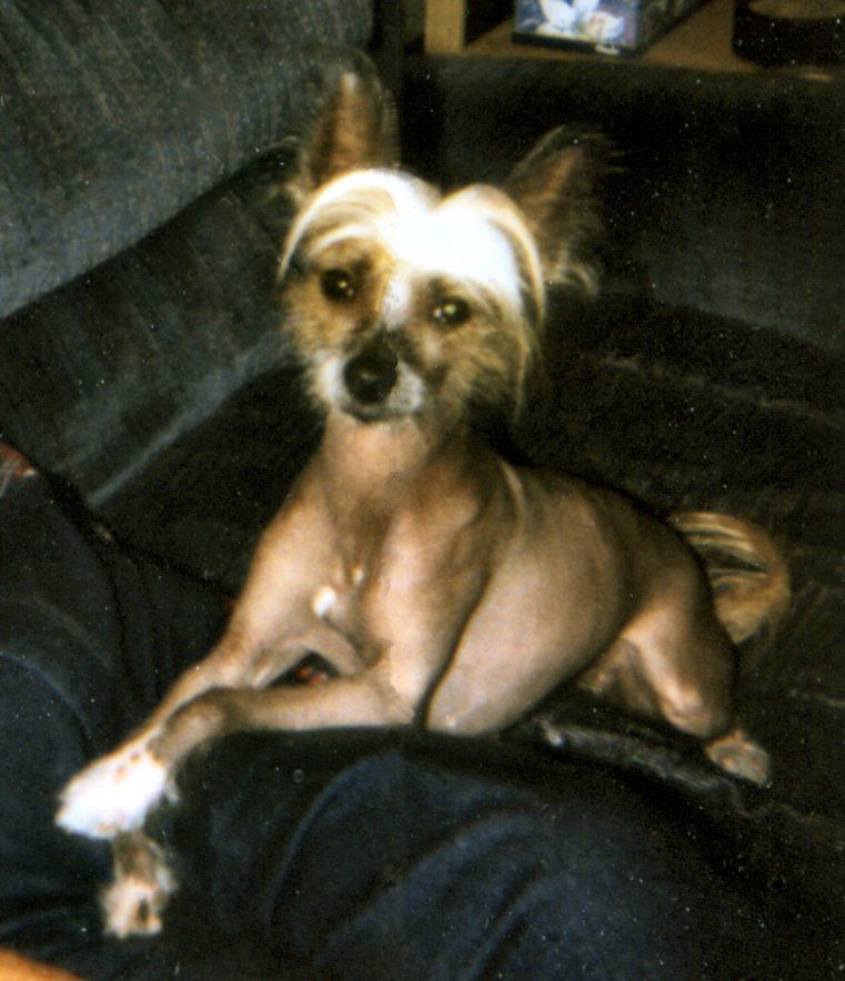 Tamoshire Jato Th'naked Maja