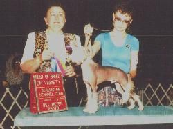 Tapscott's Rumor Has It