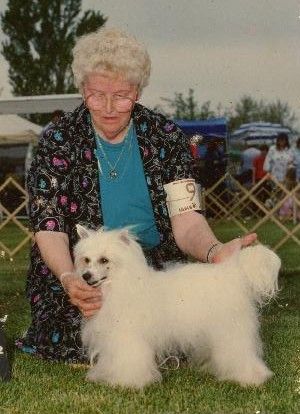 Tebroc's Sparkle Plenty