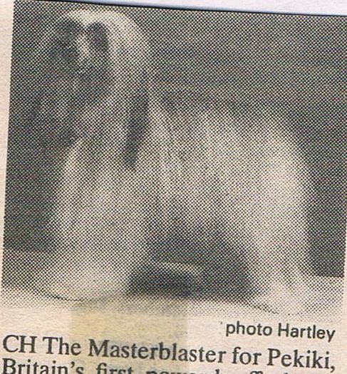 The Masterblaster For Pekiki
