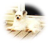 Thianna's Elf In Disguise