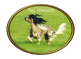 Tiny Diamonds Cherry Blossom