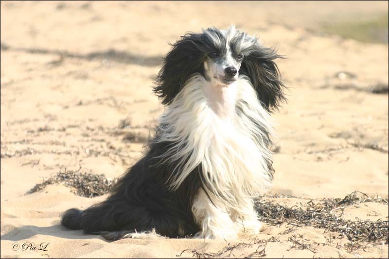 Tiny Diamonds Gift From Heaven