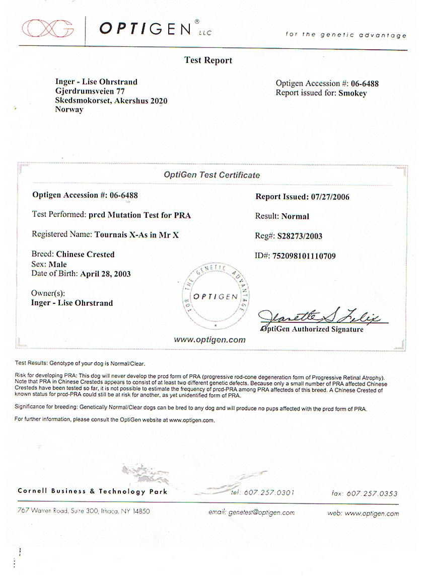 Tournais X-as In Mr X