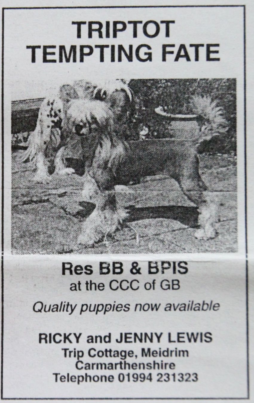 Triptot Tempting Fate