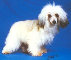 T'Violette Du Trou De Granit