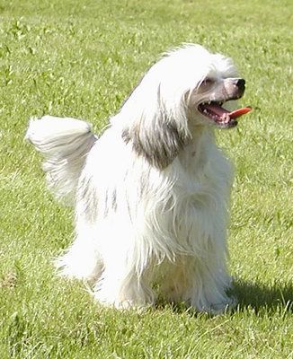 Twice As Nice After Eight