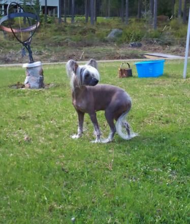 Twice As Nice Comin' On Strong