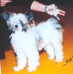 U'Thing Thang de l'Ancien Relais