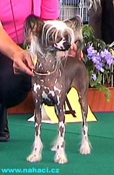 Vellar Pljus Allondra