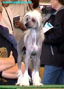 Vellar Pljus Konfael