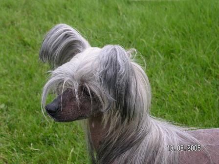 Villa Katrinelunds Natalia Nova