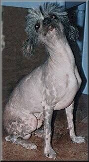 Villa Katrinelunds Salmiak