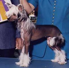 Wind A Fire Of Rompford