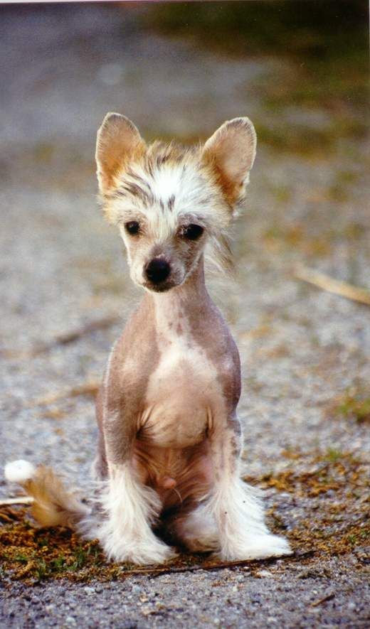 Zhannel's By The Way