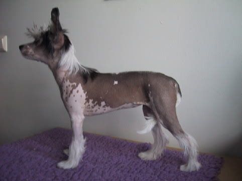 Zhannel's Feels Sooo Good