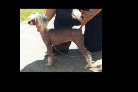 Zhouzhi Wan Chuan Te Lou