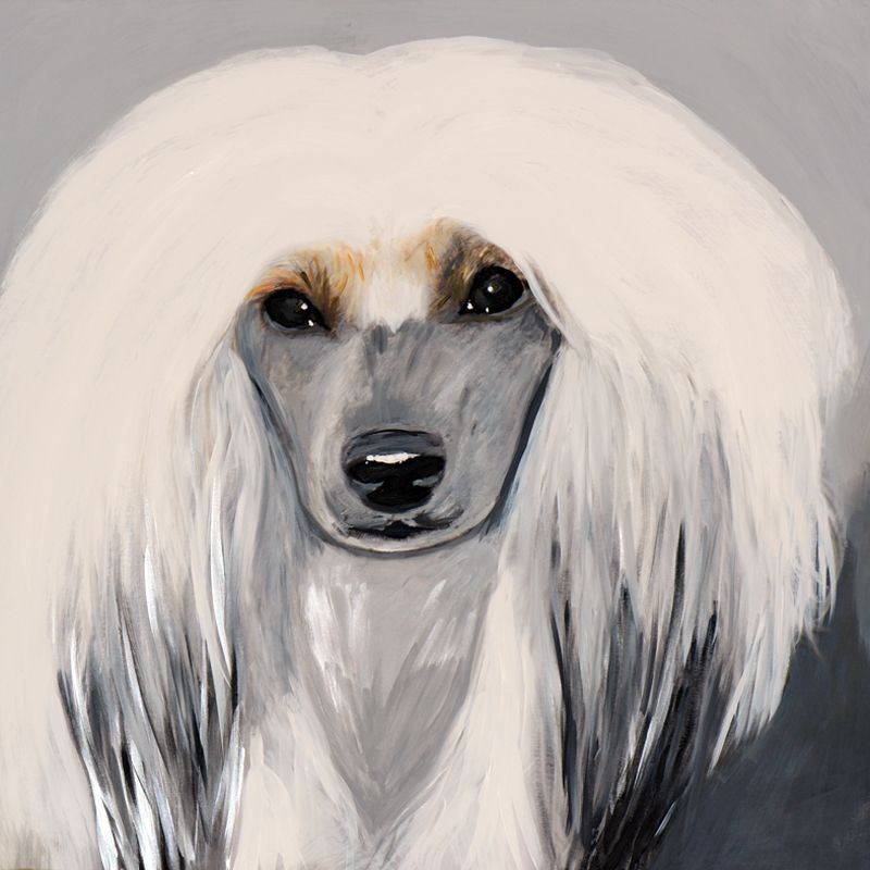 Zucci Princess Royal