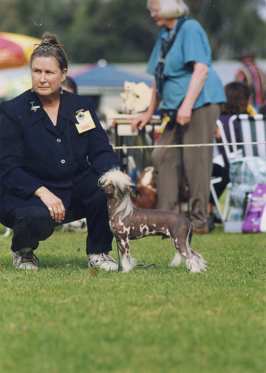 Blackheath Voodoo Magic